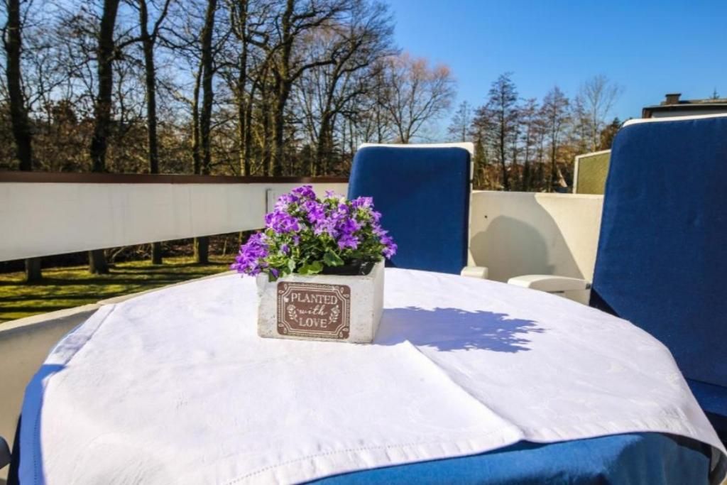 Ferienwohnung Kleine Freiheit シャルボイツ エクステリア 写真